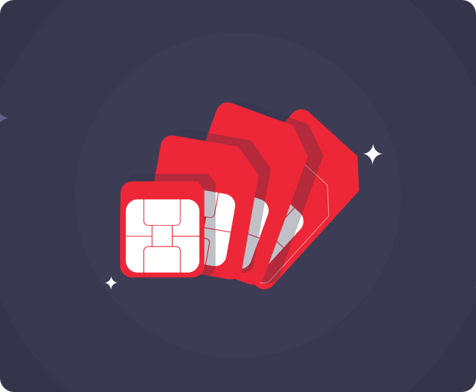 SIM Details Lookup